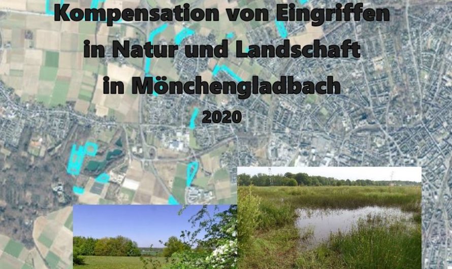 20 Jahre Kompensationsflächen in Mönchengladbach BUND legt Naturschutz-Studie vor, die enttäuschend ausfällt