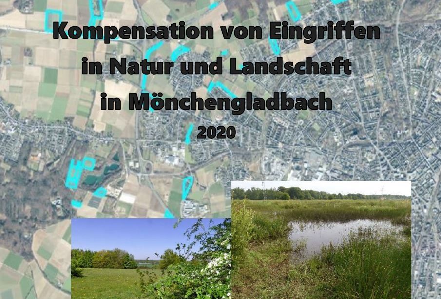 20 Jahre Kompensationsflächen in Mönchengladbach BUND legt Naturschutz-Studie vor, die enttäuschend ausfällt