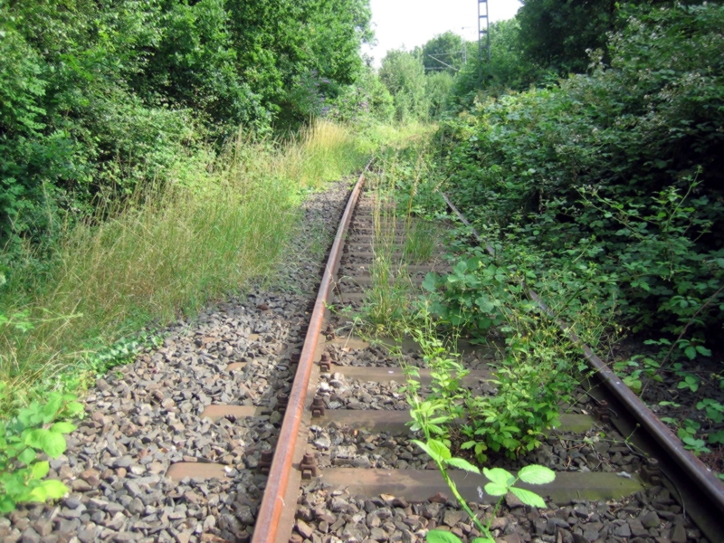 Alte Bahntrassen neu genutzt Schnellradweg und S28 in Neuwerk, besser als BAB-Ausbau