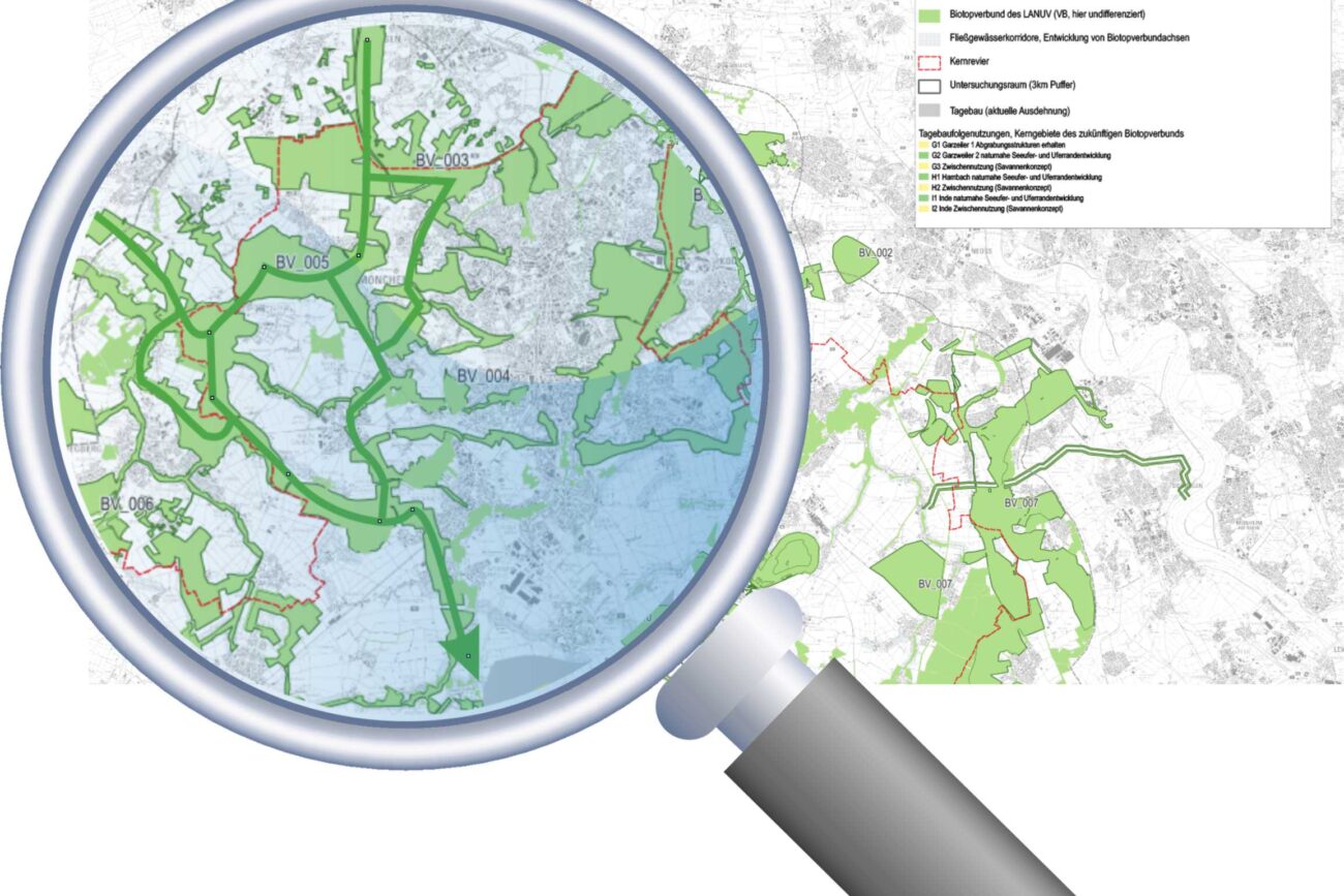 Ein Biotopverbundkonzept für das Rheinische Revier Drehpunkt JHQ